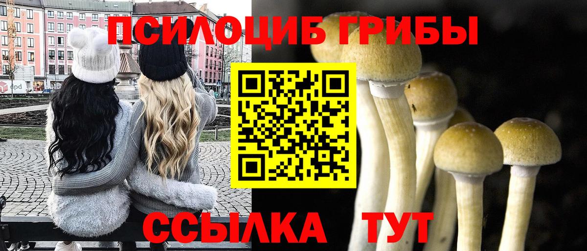 Псилоцибиновые грибы прущие грибы  Вход с VPN  Ревда  Галлюциногенные грибы GOLDEN TEACHER 